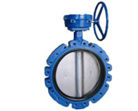 Lug Butterfly Valve